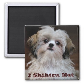 I Shihtzu Not Funny Shih Tzu Fridge Magnet by dogbreedgiftshop at Zazzle