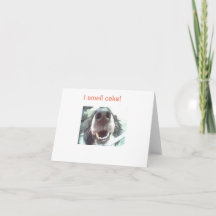 “I smell cake!” Dog Nose Birthday Card