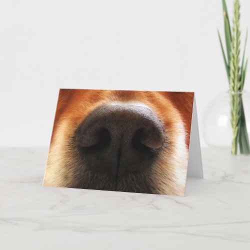 I Smell Cake Dog Snout Birthday Greeting Card