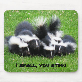 I SMELL You STINK! Mouse Pad
