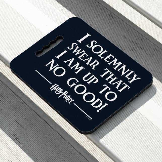 I SOLEMNLY SWEAR THAT I AM UP TO NO GOOD™ SEAT CUSHION (In Situ)