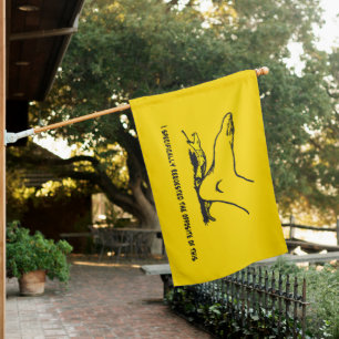 I specifically requested the opposite of this Meme House Flag