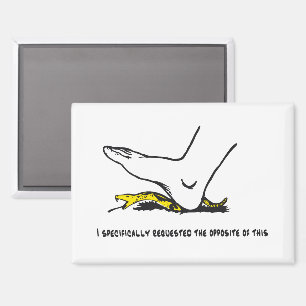 I specifically requested the opposite of this Meme Magnet