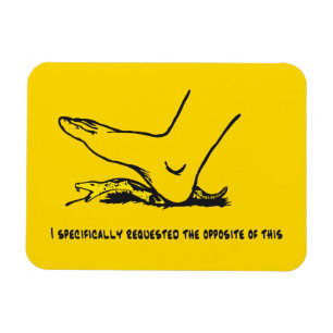 I specifically requested the opposite of this Meme Magnet