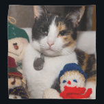 I Spy A Calico Bandana<br><div class="desc">Macy, a young, full blooded Calico cat has climbed into a basket of snowmen to cuddle and sleep. Looking for more prints or products? Feel free to visit my store: http://www.zazzle.com/timelessmomentsphtgy This photo was taken by Jennifer White with Timeless Moments Photography. All images are copyrighted © Timeless Moments Photography/Jennifer White....</div>