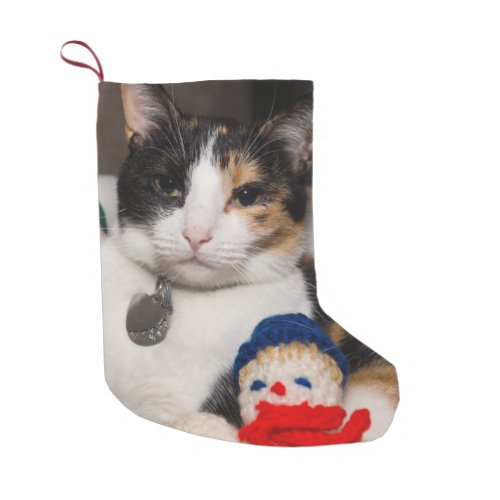 I Spy A Calico Christmas Stocking