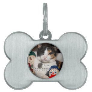 I Spy A Calico Pet Tag