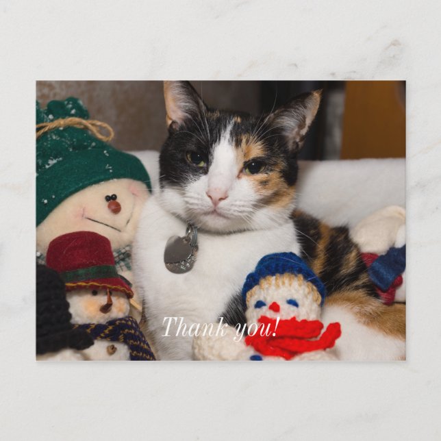 I Spy A Calico Thank You Postcard (Front)