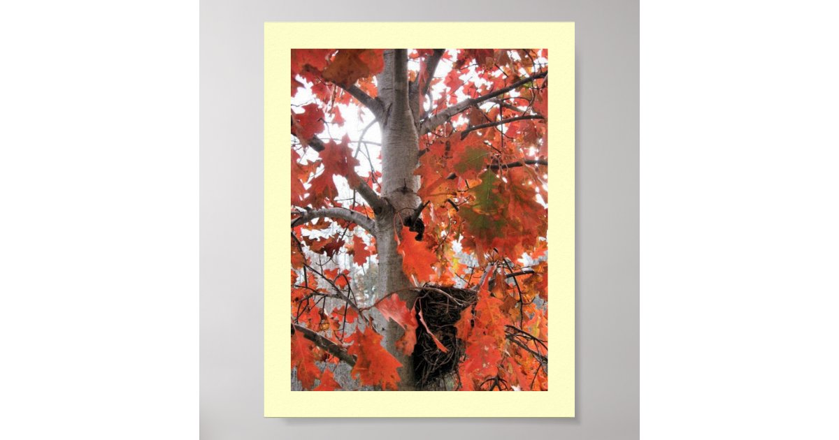 I Spy... Poster | Zazzle