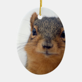 I, Squirrel Ceramic Ornament