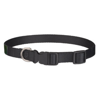 I Stand Grounded Dog Leash