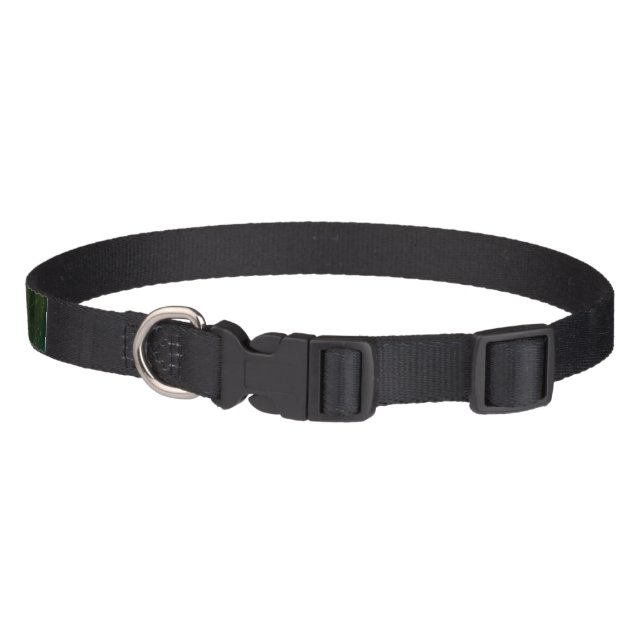 I Stand Grounded Dog Leash (Back)