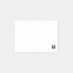I Stay Home I Read Books I Pet My Cat Funny Cat  Post-it Notes