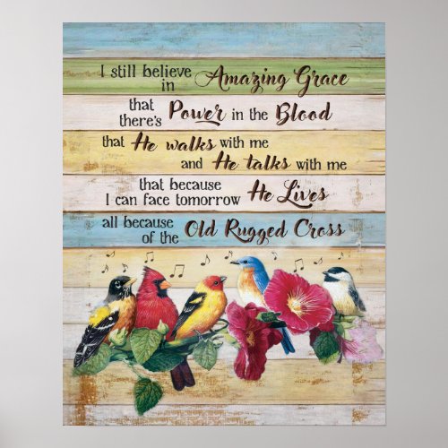  I Still Believe In Amazing Grace Birds Poster