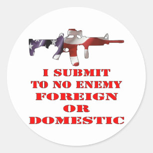 protect from enemies foreign and domestic