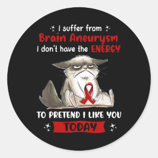 I Suffer From Brain Aneurysm Awareness Fun Cat Classic Round Sticker