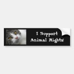 I Support Animal Rights Bumpersticker Bumper Sticker at Zazzle