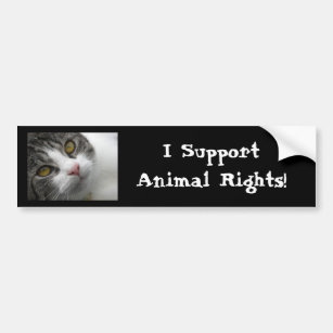 I Support Animal Rights Bumpersticker Bumper Sticker