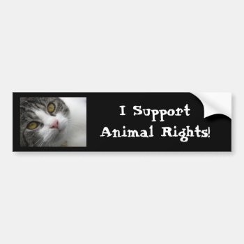 I Support Animal Rights Bumpersticker Bumper Sticker by TrinityFarm at Zazzle