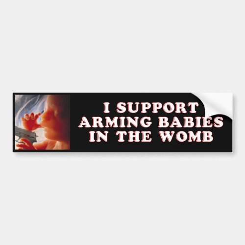 I Support Arming Babies in the Womb Bumper Sticker