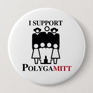 I support Polygamitt.png Pinback Button