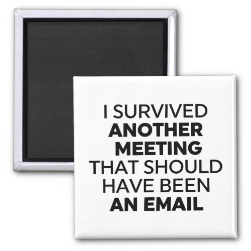 I Survived Another Meeting That Should Have Been a Magnet