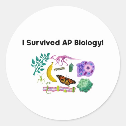 I Survived AP Biology Classic Round Sticker