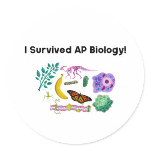 I Survived AP Biology! Classic Round Sticker