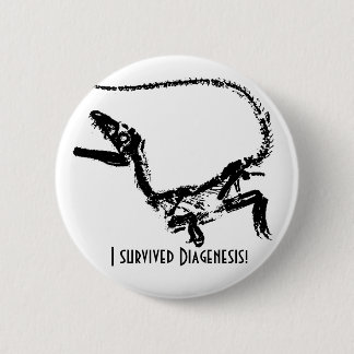 I Survived Diagenesis Boton Pinback Button