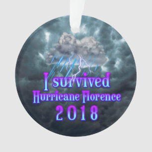 I survived Hurricane Florence rain Ornament