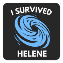 I Survived Hurricane Helene
