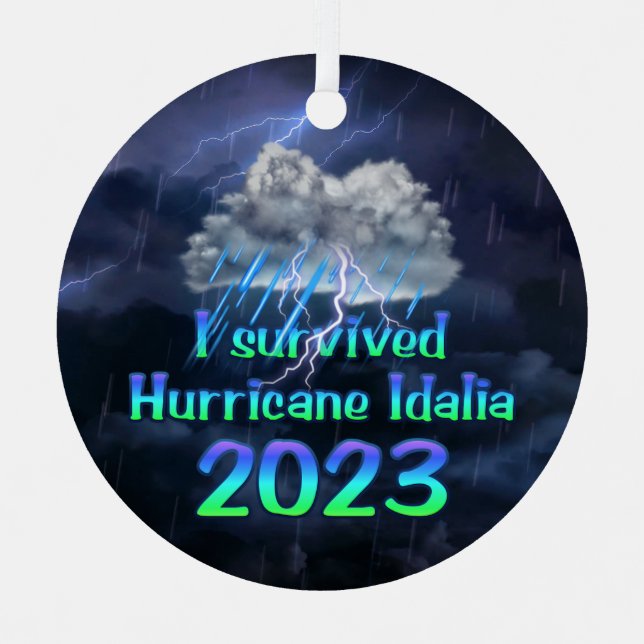 I survived Hurricane Idalia 2023 Metal Ornament (Front)