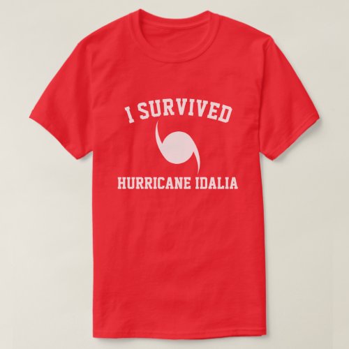I Survived Hurricane IDALIA T_Shirt