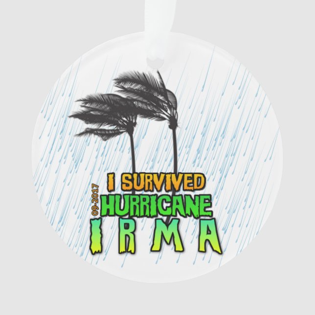 I survived Hurricane Irma Ornament (Front)