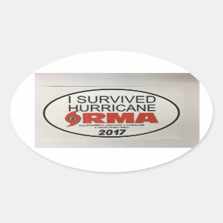 I Survived Hurricane IRMA OVAL Decal Sticker
