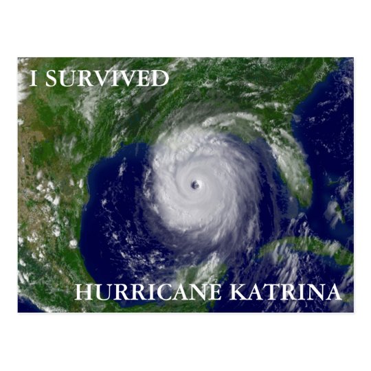 I SURVIVED HURRICANE KATRINA POSTCARD | Zazzle.com