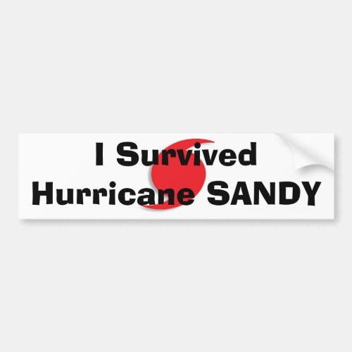 I Survived Hurricane SANDY bumpersticker Bumper Sticker
