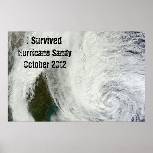 I Survived Hurricane Sandy Poster