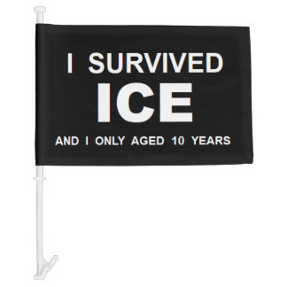 I Survived ICE Car Flag