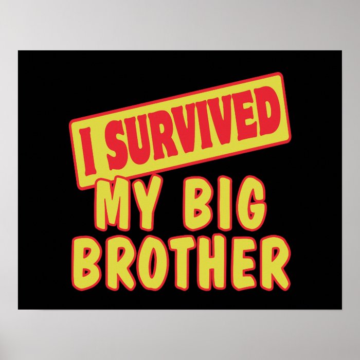 I SURVIVED MY BIG BROTHER POSTERS