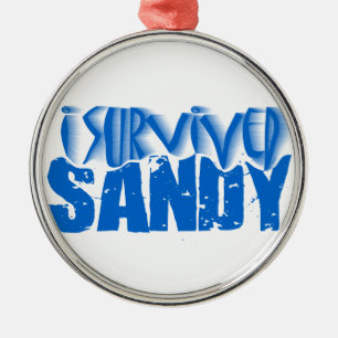 i survived SANDY Metal Ornament