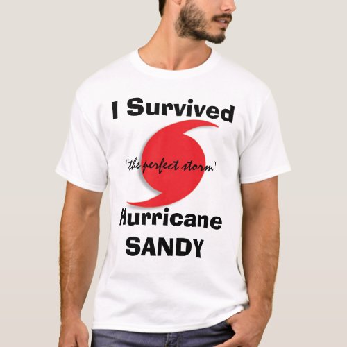 I Survived SANDY T_Shirt