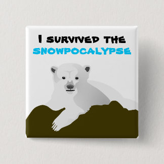 i Survived the snow Pinback Button