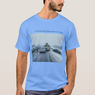 I Survived the Winter Storms of 2026 T-Shirt