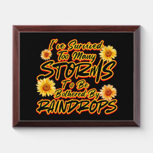 I SURVIVED TOO MANY STORMS TO BE BOTHERED BY AWARD PLAQUE