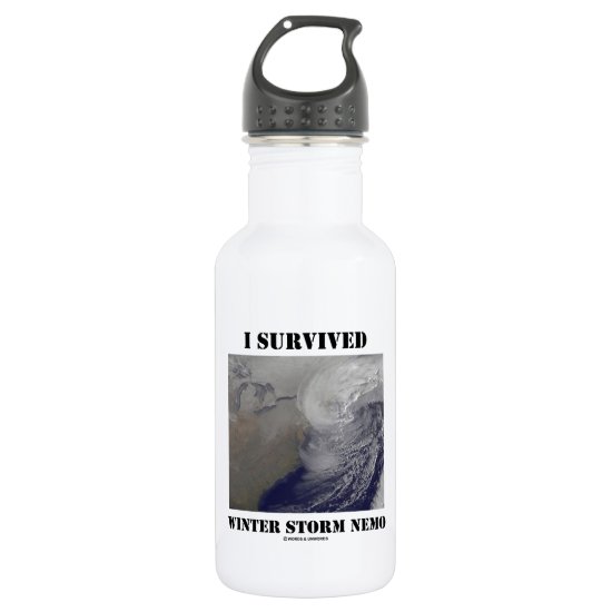 I Survived Winter Storm Nemo (NASA Outer Space) Stainless Steel Water Bottle