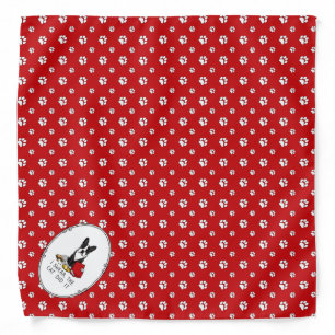 I Swear, the Cat Did It Boston Terrier (black) Bandana