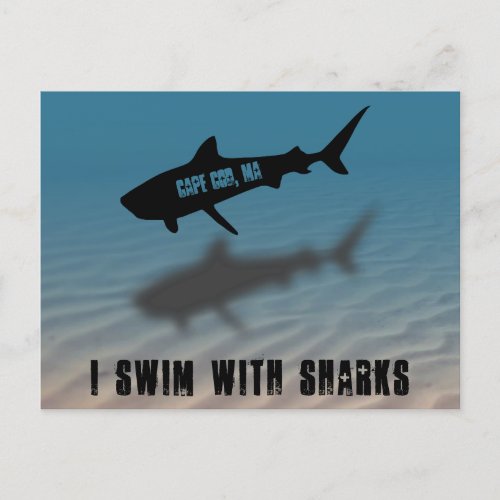 I Swim With Sharks Cape Cod MA Beach Shark Postcard