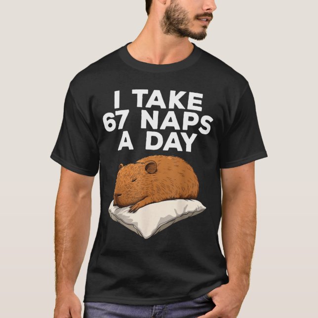 I Take 67 Naps A Day Funny Capybara Six Seven Meme T-Shirt (Front)