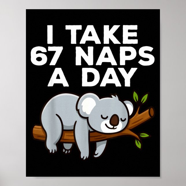 I Take 67 Naps A Day Funny Koala Six Seven Meme  Poster (Front)
